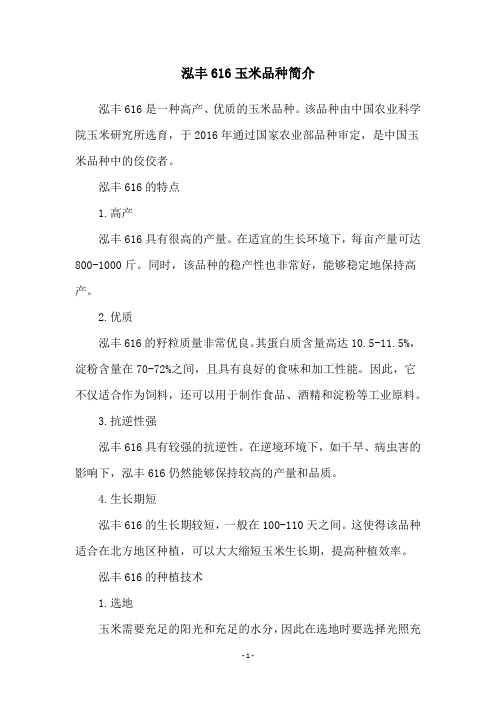 泓丰616玉米品种简介