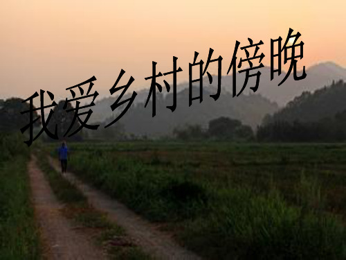 我爱乡村的傍晚