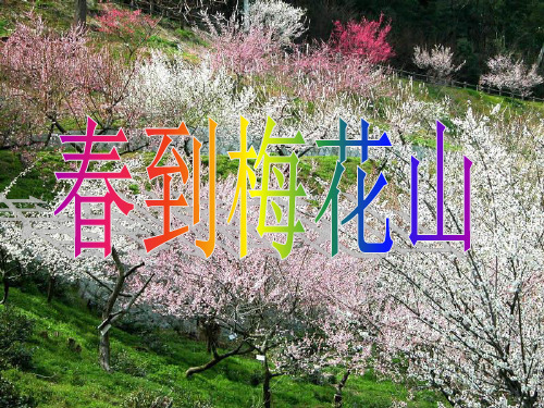 苏教版一年级下册_课文4_春到梅花山_完整版课件