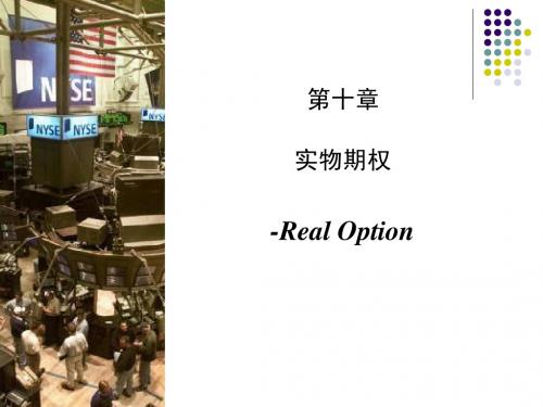 第10章 实物期权