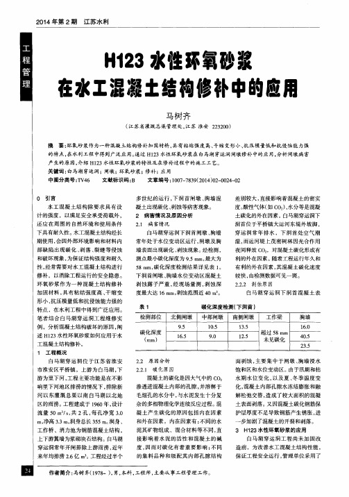 H123水性环氧砂浆在水工混凝土结构修补中的应用