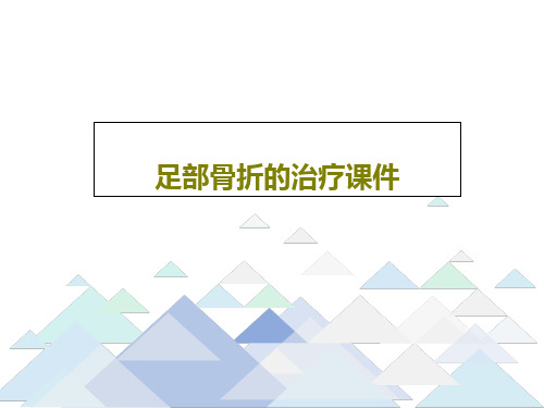 足部骨折的治疗课件56页PPT