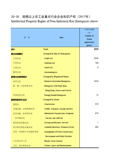 陕西省西安市2019统计年鉴数据：20-30 规模以上非工业重点行业企业知识产权(2017年)