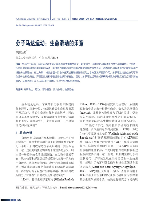 分子马达运动：生命滑动的乐章