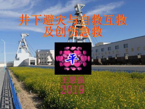 自救互救与创伤急救