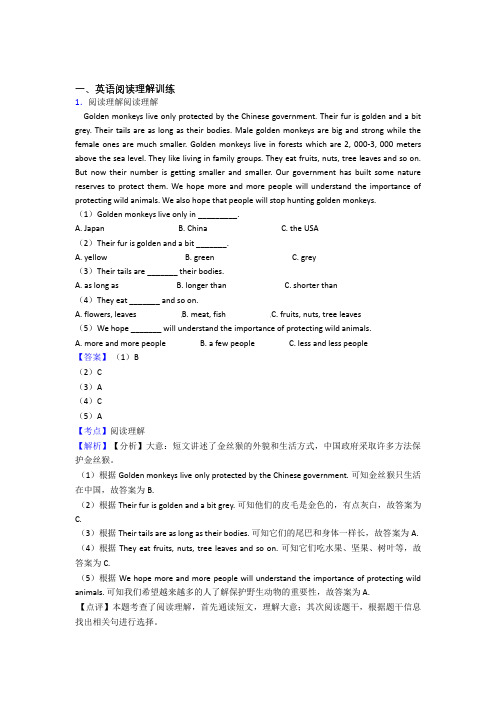 六年级人教版小学英语阅读理解专题练习(附答案)