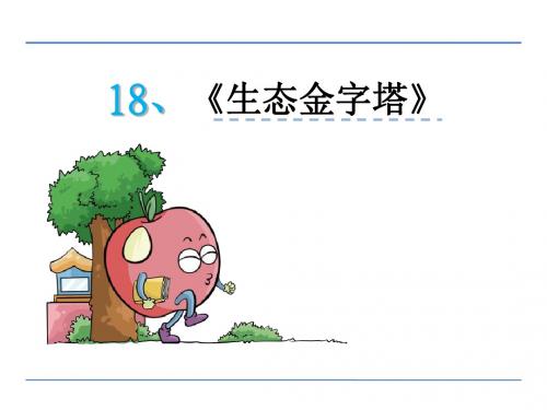 18生态金字塔(2016年鄂教版六年级语文上册)优秀PPT教学课件