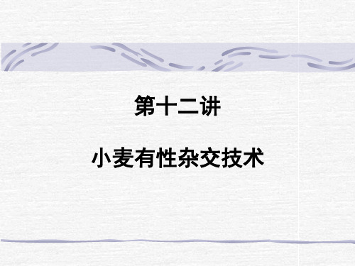 第十二讲小麦有性杂交技术