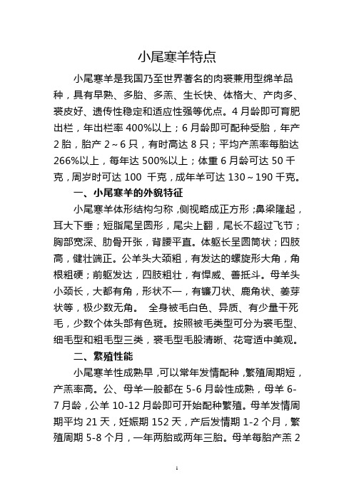 小尾寒羊引种须知