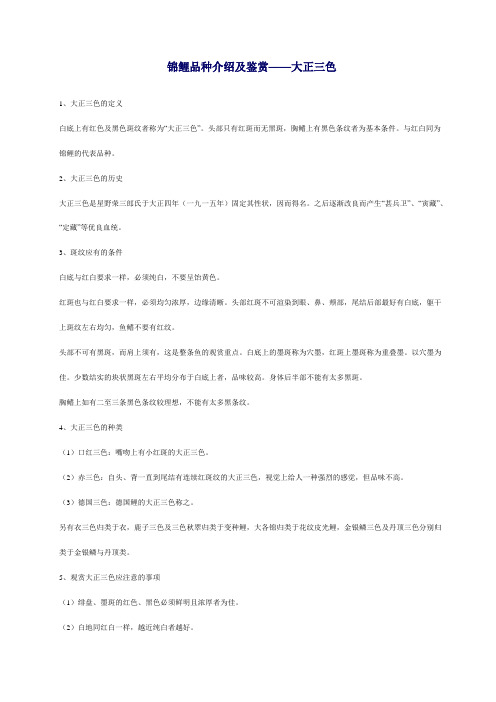 锦鲤品种介绍及鉴赏-大正三色