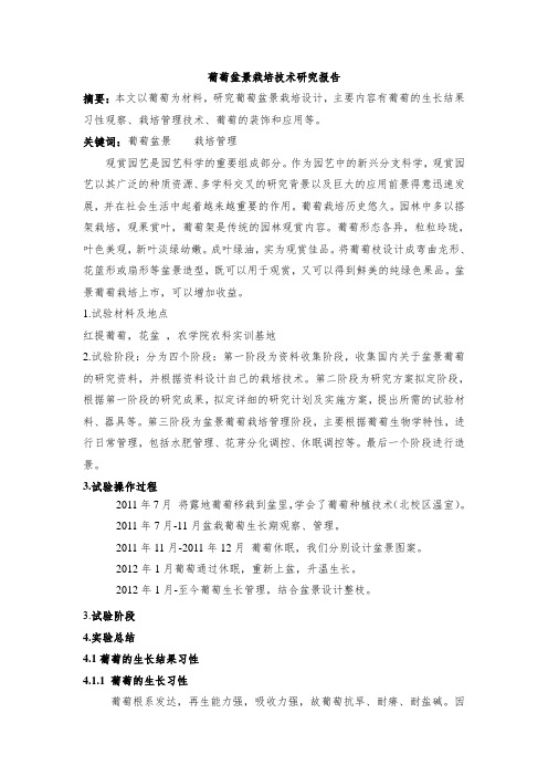 葡萄盆景栽培技术研究报告