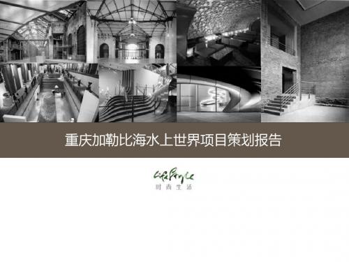 重庆加勒比海水上世界项目前期定位策划报告(54页)