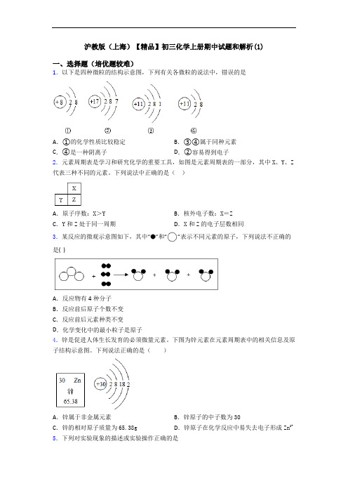 沪教版(上海)【精品】初三初三化学上册期中试题和解析(1)