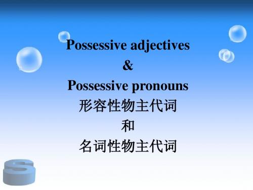 形容词性和名词性物主代词专项练习