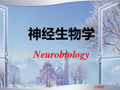 神经-内分泌-免疫系统的调节