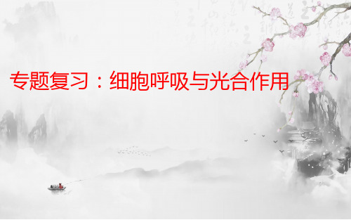 细胞呼吸与光合作用 高中生物必修一教学课件PPT 人教版
