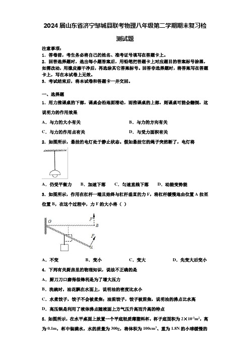 2024届山东省济宁邹城县联考物理八年级第二学期期末复习检测试题含解析