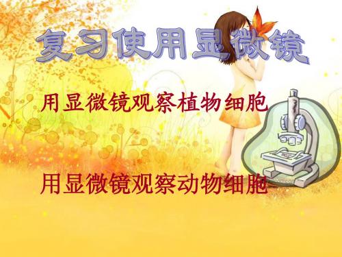 复习显微镜的结构和使用ppt