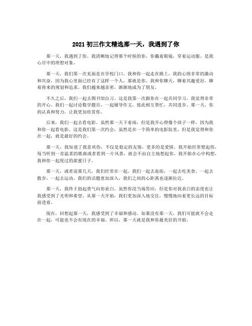 2021初三作文精选那一天,我遇到了你