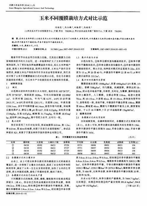 玉米不同覆膜栽培方式对比示范