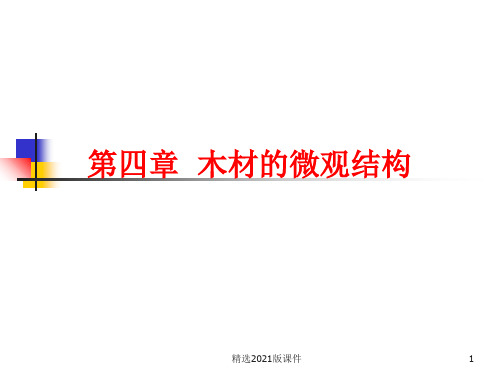 第四章  木材的微观结构