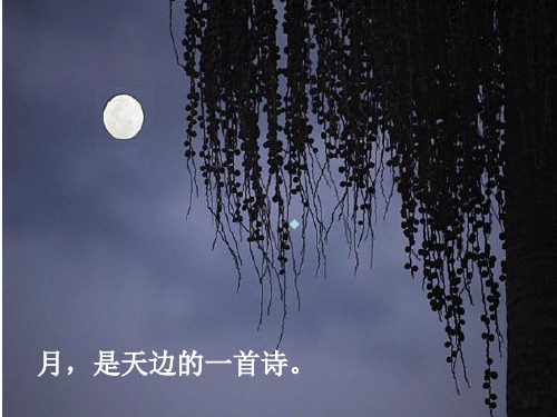 诗歌表现手法——虚实结合公开课PPT课件