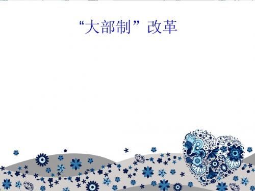 大部制改革