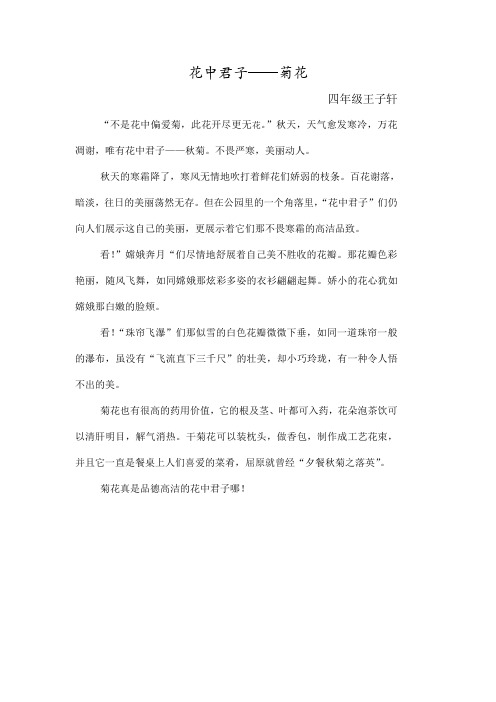 花中君子——菊花(四年级王子轩)