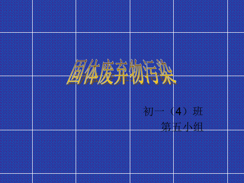 固体废弃物污染.ppt