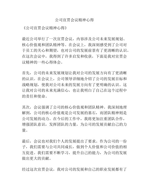 公司宣贯会议精神心得