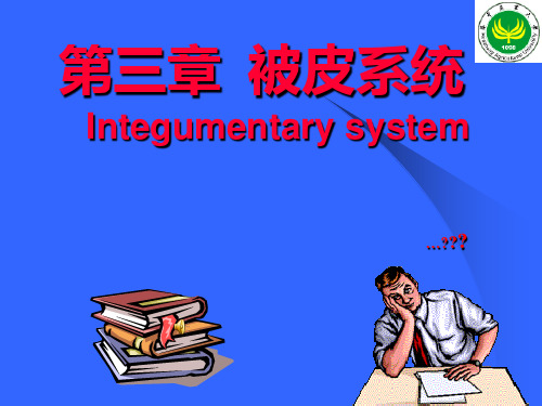 03被皮系统PPT课件