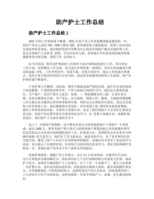 助产护士工作总结