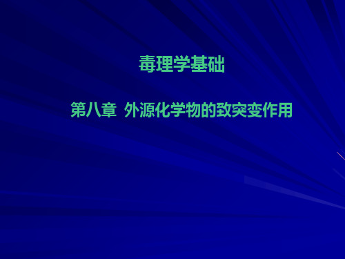 第八章外源化学物致突变作用ppt课件