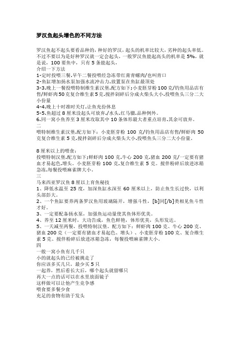 罗汉起头方法文档 (2)