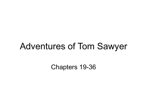 Adventures of Tom Sawyer 2汤姆索亚历险记答案