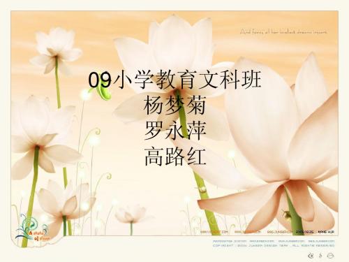 “无意义人生”批判