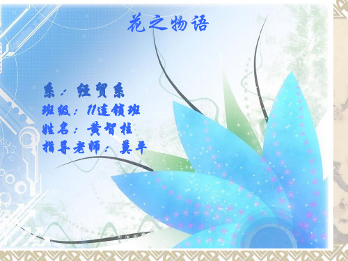 花名和花语优质获奖课件