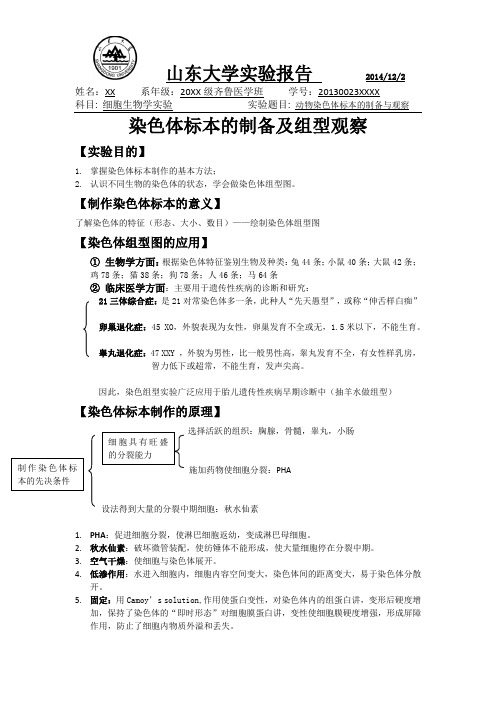 染色体标本的制作及组型观察