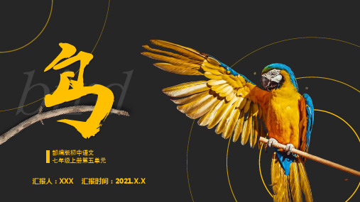部编版初中语文七年级上册《鸟》PPT课件