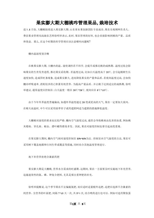 果实膨大期大棚桃咋管理果品,栽培技术