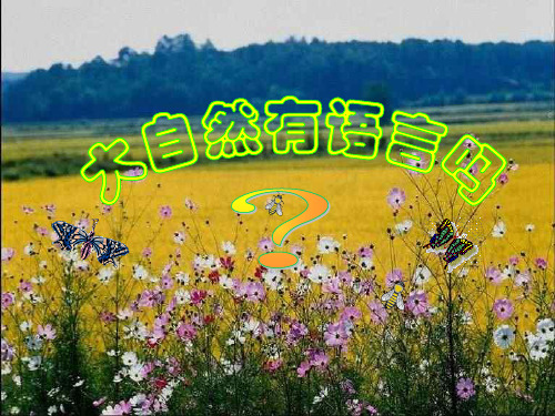 八年级语文上册 第16课《大自然的语言》课件2 新人教版