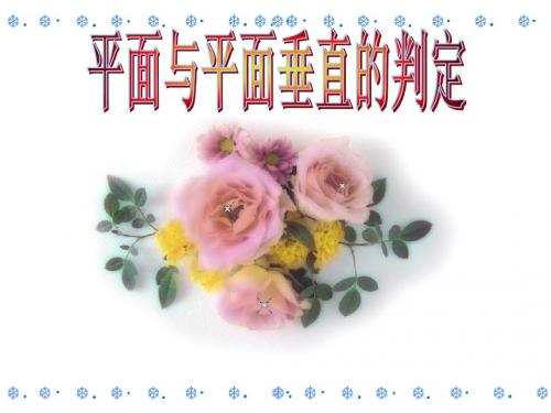 面面垂直的判定定理12