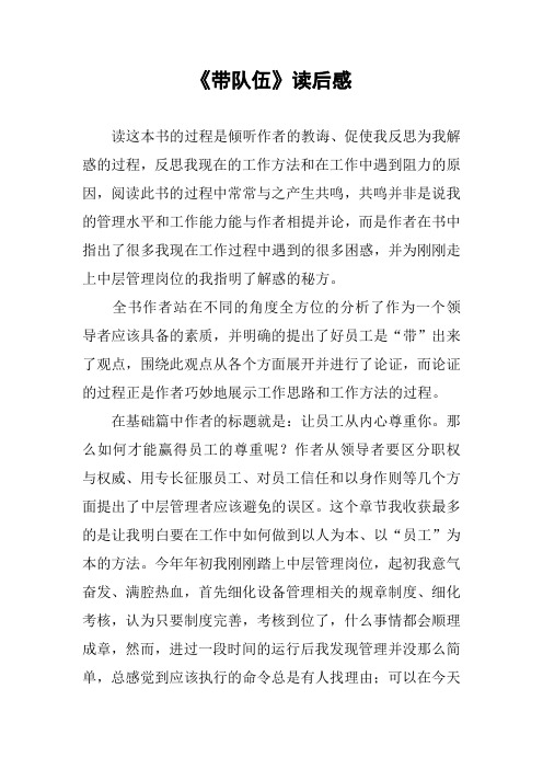 《带队伍》读后感