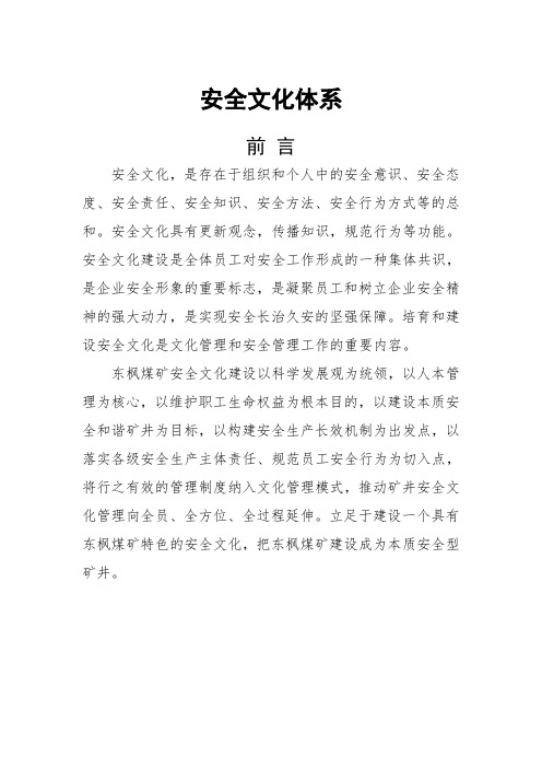 安全文化体系文件