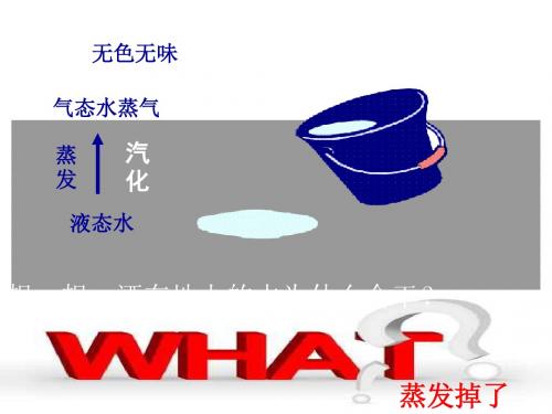 2012秋教科版物理八上《地球上水的物态变化》ppt课件3