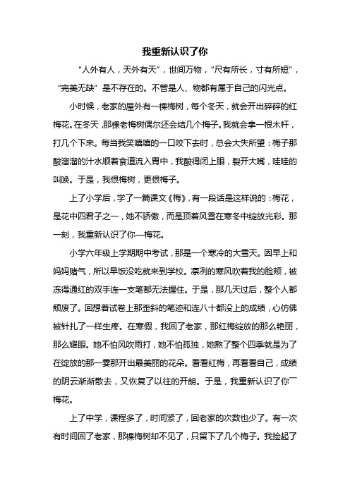 初一作文：我重新认识了你作文600字_1