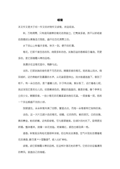 初中初一作文状物作文：颂菊