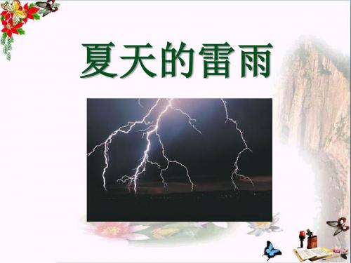 《夏天的雷雨》 精品PPT课件2