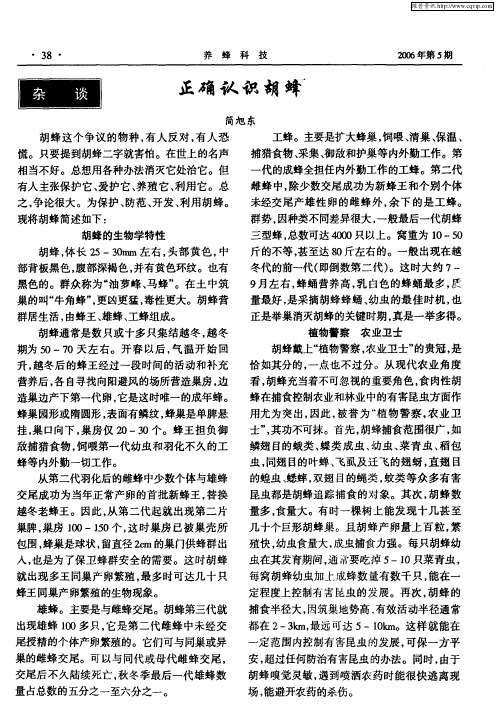 正确认识胡蜂