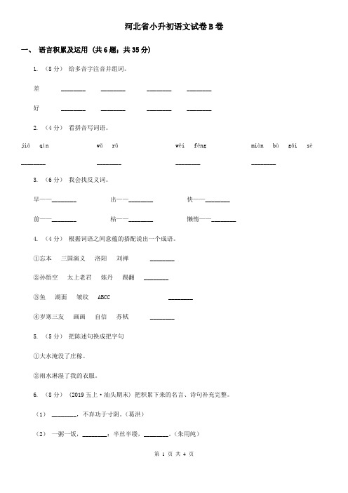 河北省小升初语文试卷B卷